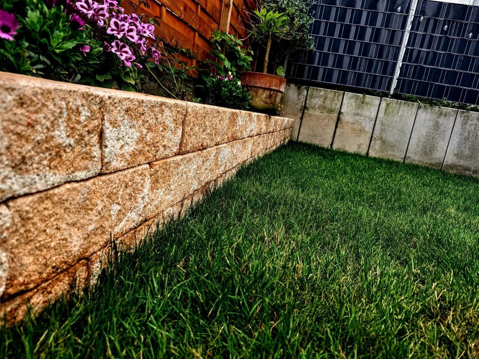Baumschnitt – Grünfix Gartenservice